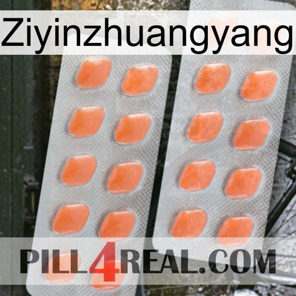 Ziyinzhuangyang 27.jpg